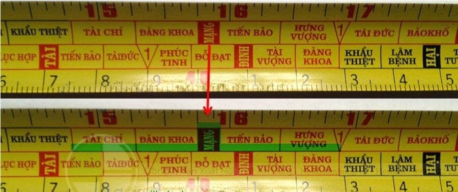 cau-tao-thuoc-lo-ban