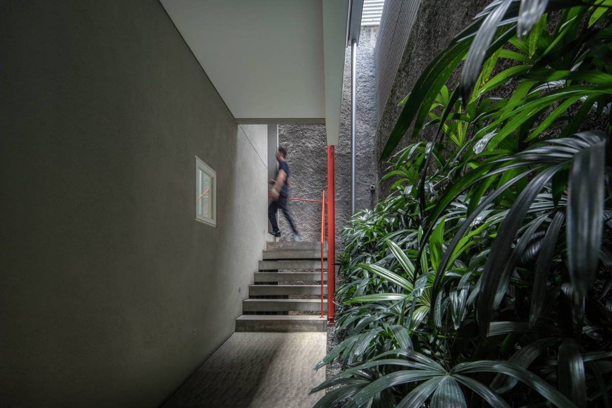 Doctor House / Tan Tik Lam Architects - Top 10 Kinh Nghiệ... 11 261205-kie-paktantiklam-03-lt1-selasar-tangga.jpg