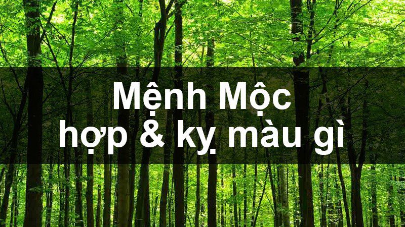 Mệnh Mộc hợp màu gì, kỵ màu gì? Năm sinh những người thuộc mạng Mộc Mệnh Mộc hợp màu gì, kỵ màu gì? Năm sinh những người thuộc mạng Mộc