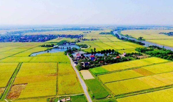 Đất phi nông nghiệp là đất gì? có được xây nhà không? - T... 2 đất phi nông nghiệp là đất gì có được xây nhà không