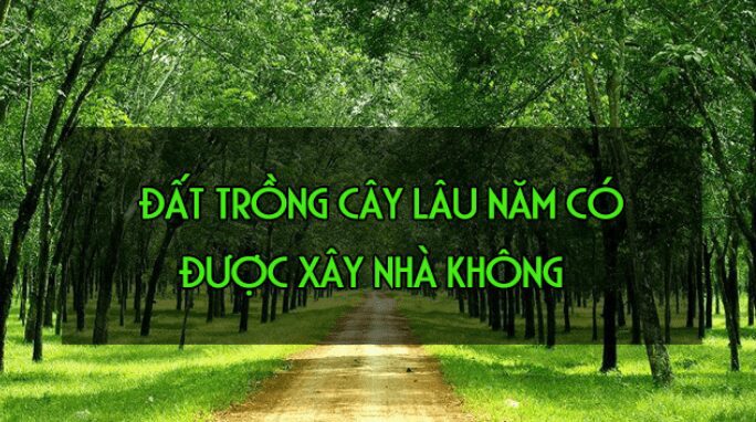 1. Đất Trồng Cây Lâu Năm Có Được Xây Nhà Không? 1 đất trồng cây lâu năm có được xây nhà không