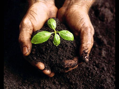 Mệnh Thổ tượng trưng cho đất Mệnh Thổ tượng trưng cho đất