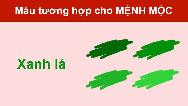 Màu xanh lá Màu xanh lá