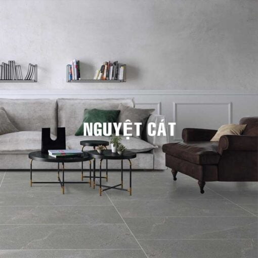 Nguyệt Cát NGC H01,02,03,04 - m2