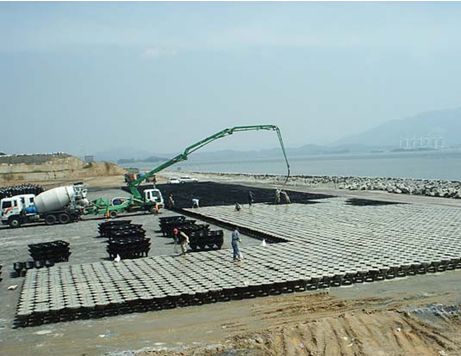 Móng Top Base - cái 4 Móng Top Base - cái - Ảnh 4