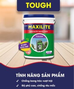 Sơn nước ngoài trời MAXILITE TOUGH Bề Mặt Bóng Mờ - 28CB - 5L