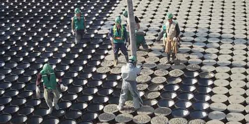 Móng Top Base - cái 3 Móng Top Base - cái - Ảnh 3