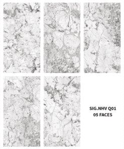 SIG-NHV Q01, SIG-CHG Q01 - m2