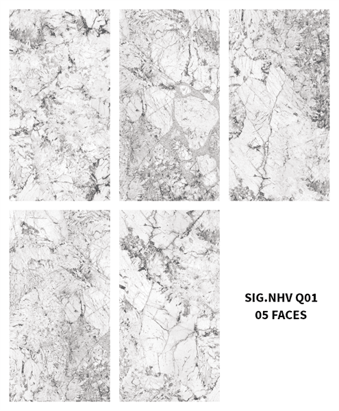 SIG-NHV Q01, SIG-CHG Q01 - m2