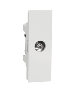 Ổ Cắm TV , size S - cái